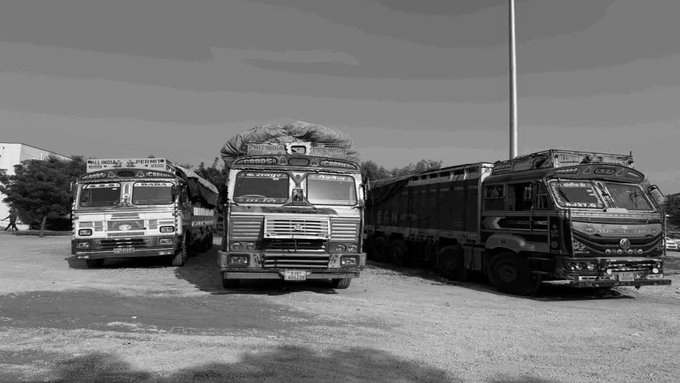 1,839 Kg Cannabis Worth Rs 4 Crore Seized From Three Trucks in Rajasthan, Seven Held
