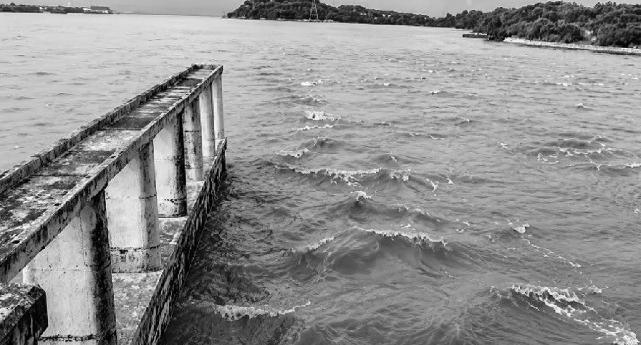 Heavy Rain Disrupts Jharkhand Life As Rivers Swell, Low-Lying Areas Go Under Water