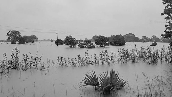 Odisha Rain Fury Sparks Flood Fear As Rivers Cross Danger Mark, 14,500 Evacuated