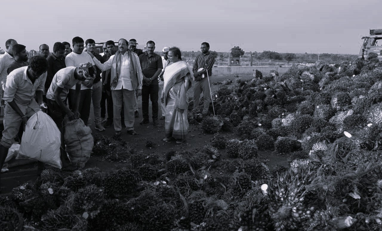Telangana Targets 10 Lakh Acres Of Oil Palm Cultivation In Three Years