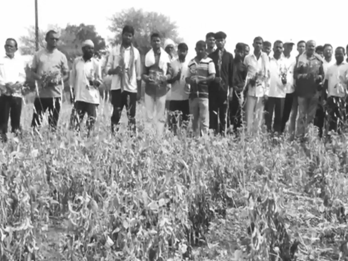 ICAR Contingency Plans Ready for Drought-Hit Districts, Centre Assures Farmer Support