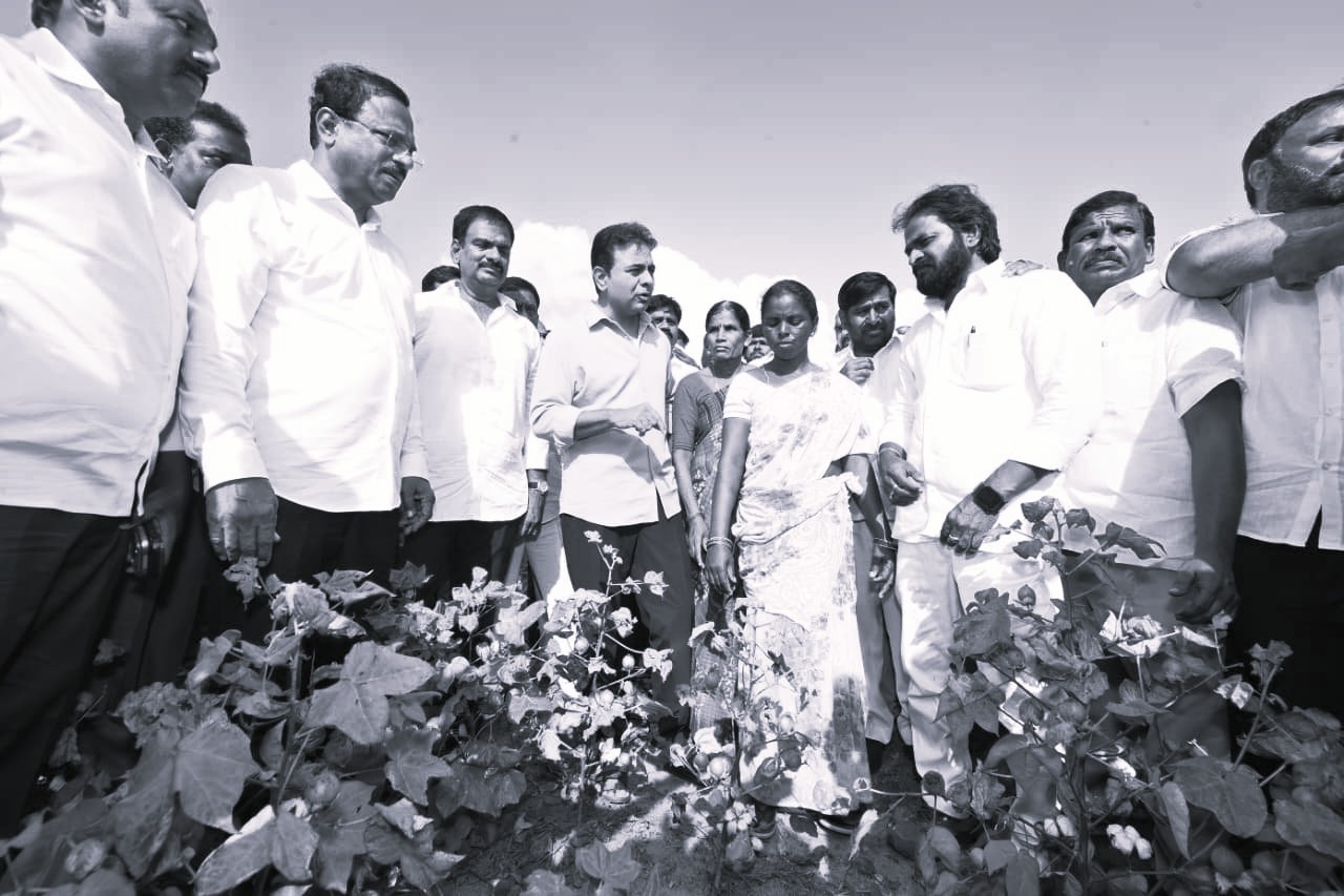 KTR Accuses Telangana Government Of Ignoring Crop Losses In Palamuru