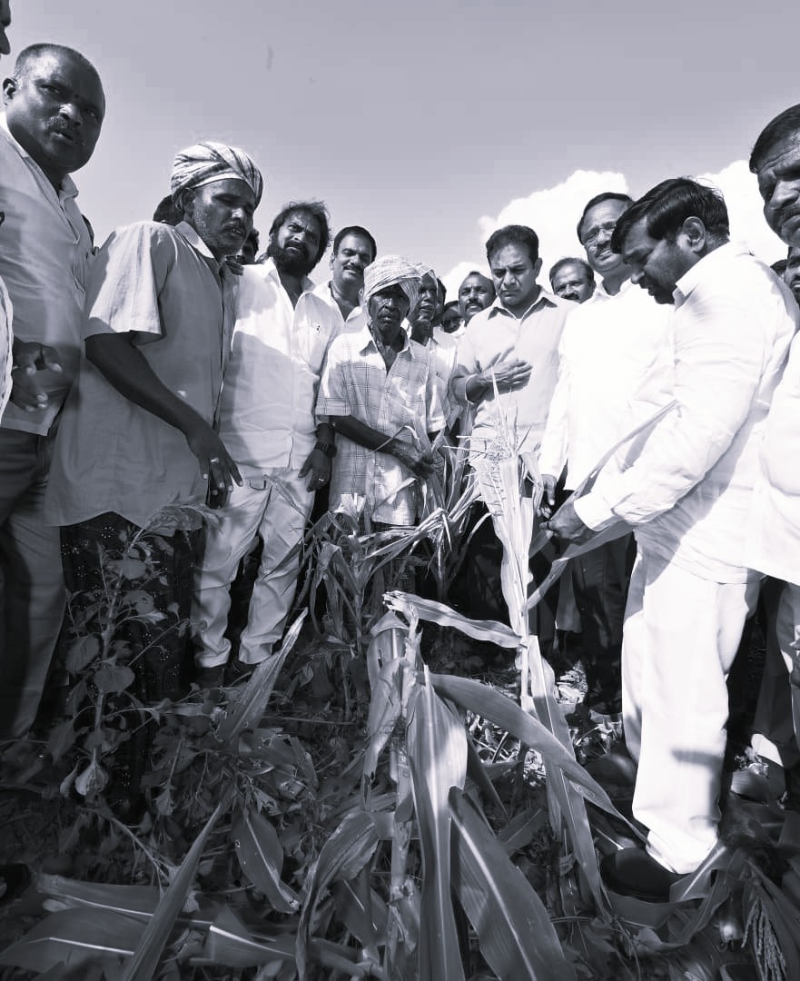 KTR Accuses Telangana Government Of Ignoring Crop Losses In Palamuru
