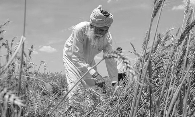 Rabi Crops At Risk? Agriculture Secretary Flags El Nino Challenge For Rainfed Areas