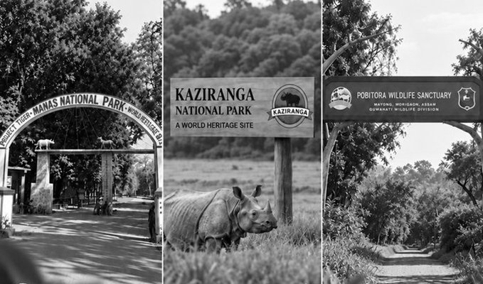 Assam Throws Open Its Wild Heart: Manas, Kaziranga And Pobitora Set To Welcome Tourists