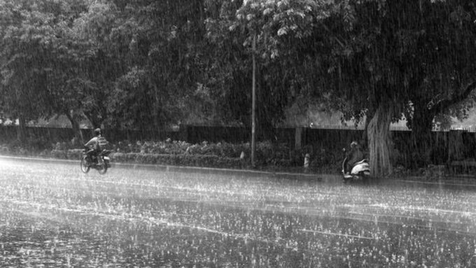 Kerala Gets Rain Relief After Weeks Of Heat, IMD Places Three Districts On Orange Alert