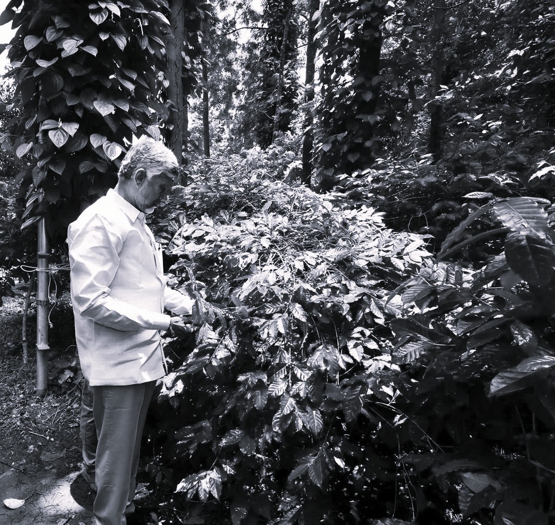AP Plans to Make Araku a World-Class Coffee Destination