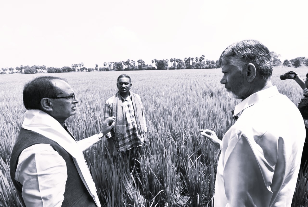 Minister Chouhan, CM Chandrababu Visit Natural Farming Field in Tenali