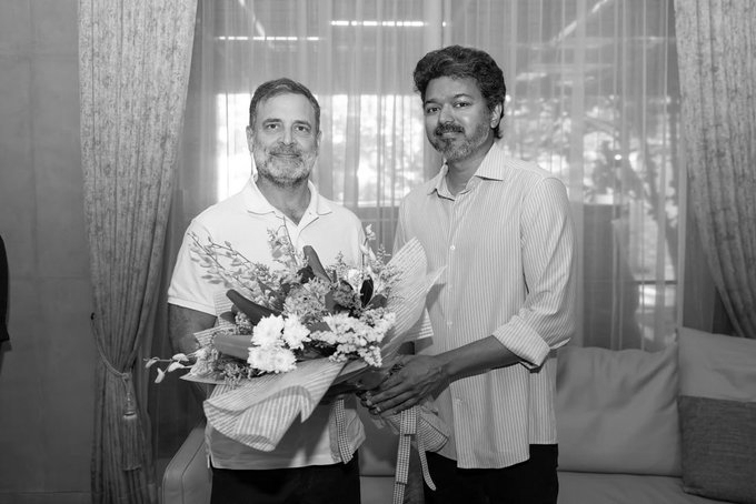 Rahul Gandhi Meets Vijay In Chennai Amid CJP Protest, Congress Stays Away From Delhi Stir