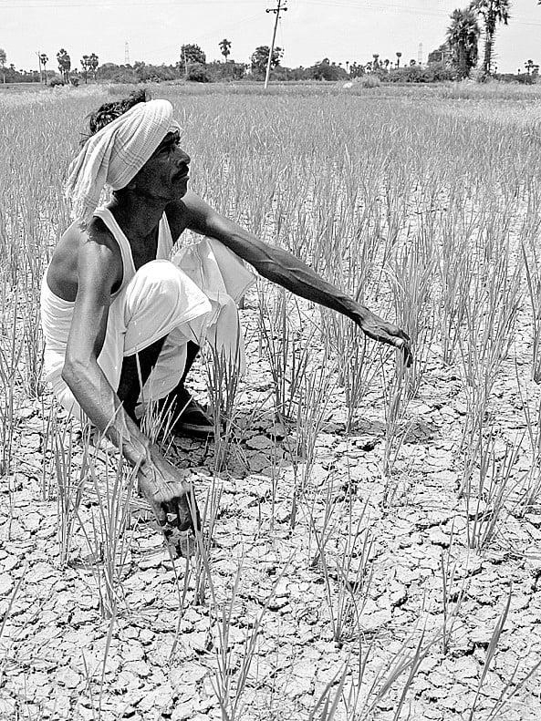 El Niño Alert: Is Telangana Prepared for a Water Crisis?