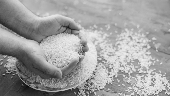 Rice Prices Rise As India Faces Lower Production And Export Risks In 2027