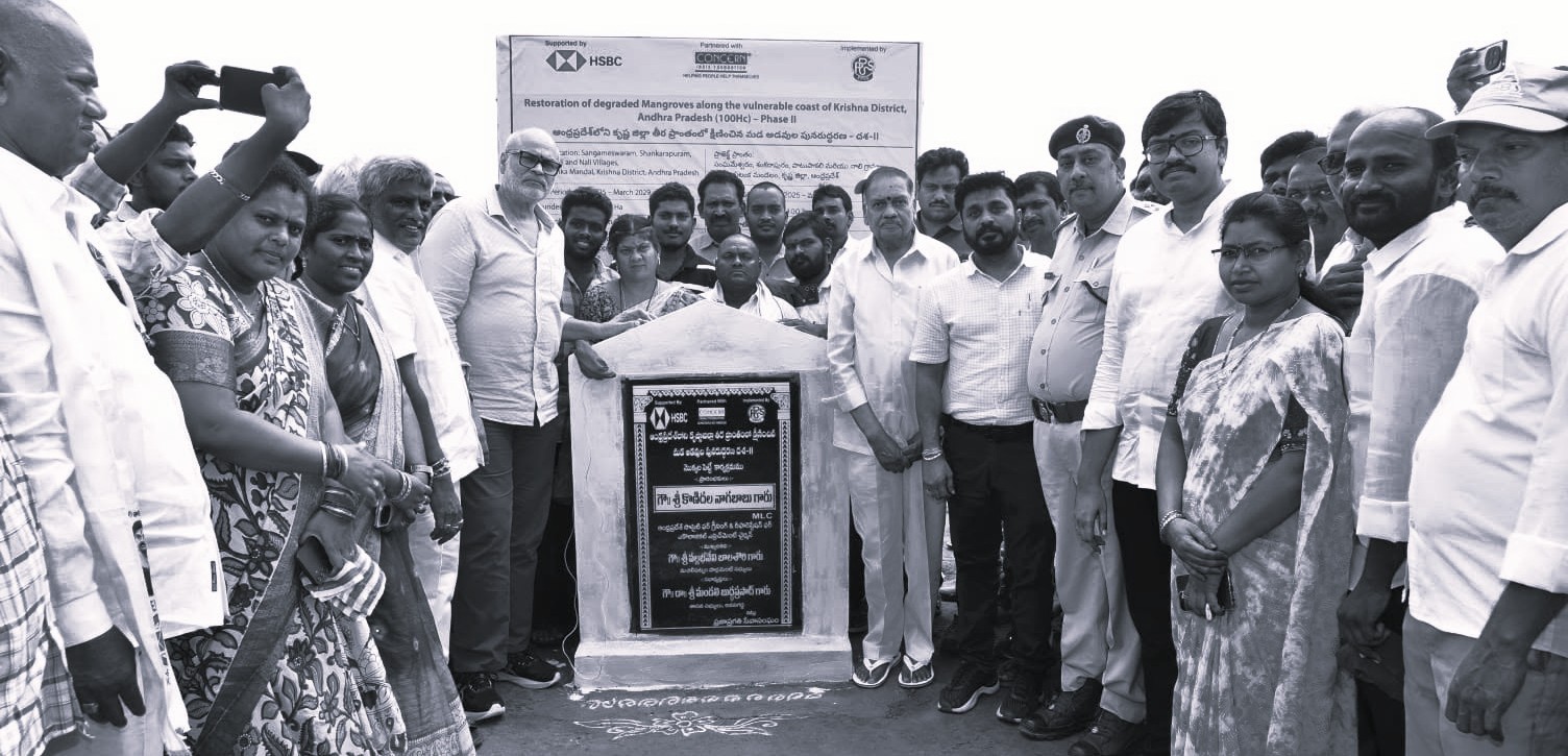 AP Steps Up Mangrove Restoration, Targets 100 Hectares in Krishna District