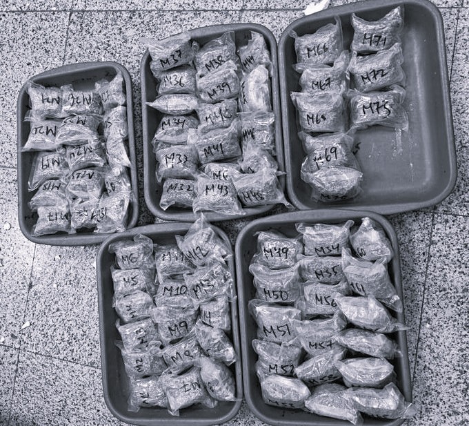 ₹2.71 Crore Worth of Hydroponic Cannabis Seized at Hyderabad Airport