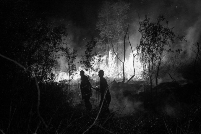 Four Dead, Two Critically Burned as Wildfire Ravages Indonesia’s Mount Bromo National Park