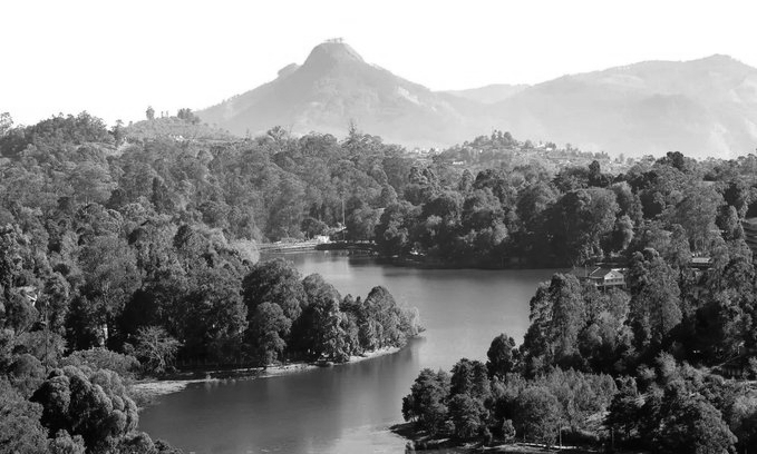 TN Forest Department Launches Online Ticketing to Ease Kodaikanal Traffic