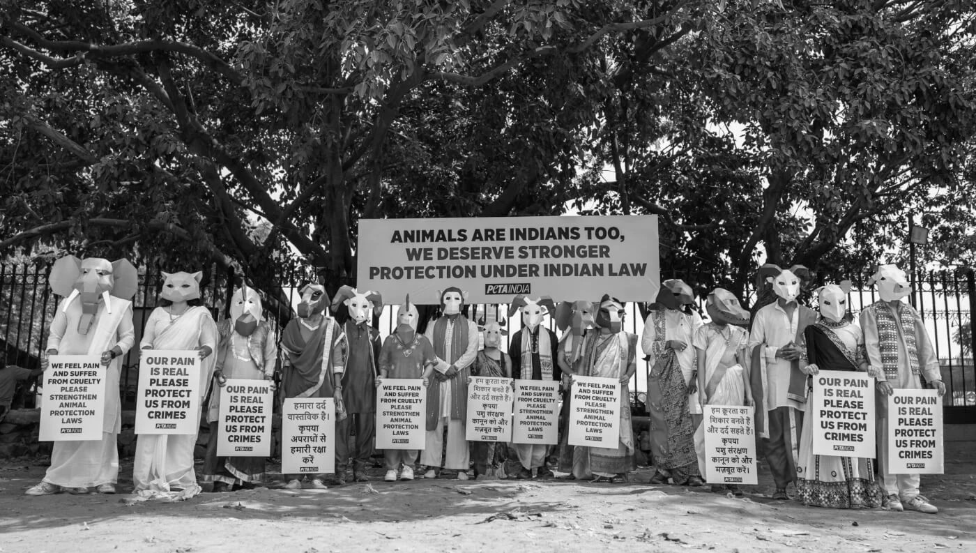 PETA India Seeks Withdrawal of Draft Lab Rules, Flags Animal Welfare Risks
