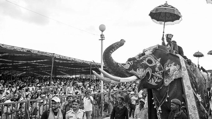 Mysuru Dussehra Reaches Grand Finale with ‘Jamboo Savari’
