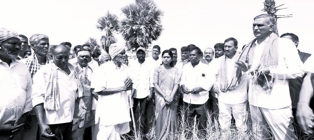 Harish Rao Alleges Irrigation Mismanagement Behind Palamuru Crop Losses
