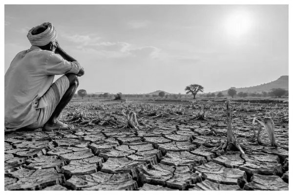 Karnataka Awaits Centre’s Drought Aid as Crop Losses Reach 80% in Some Areas