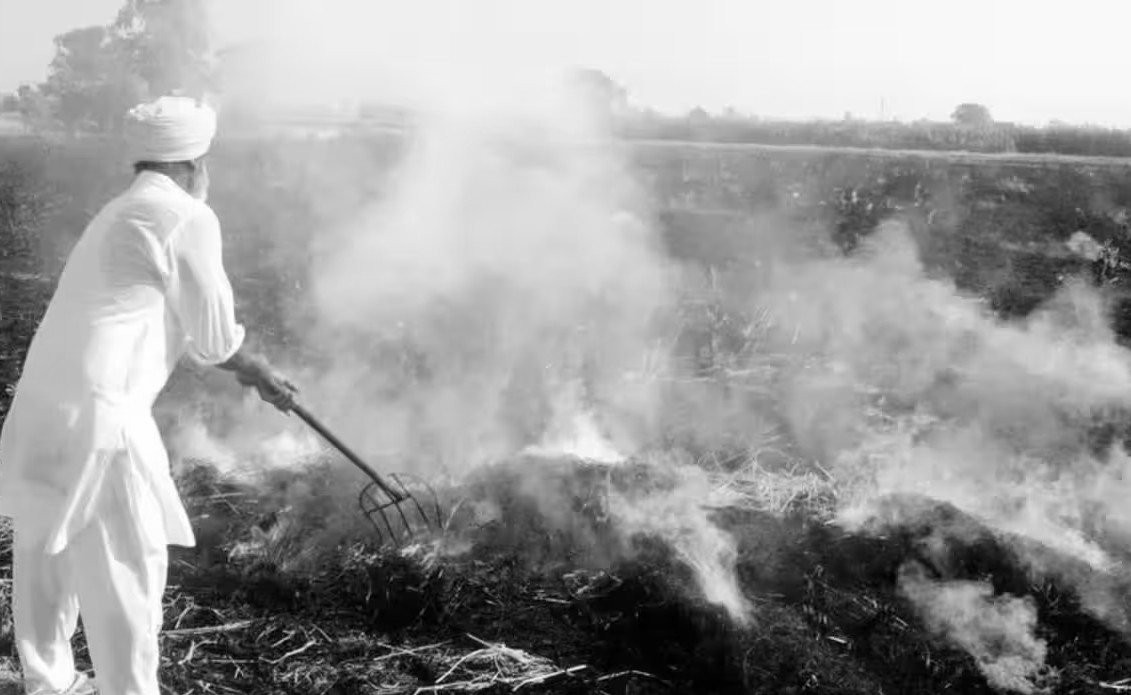 Punjab Stubble Fires: CAQM Pushes Industrial Fuel Use and Faster Machinery Access for Farmers