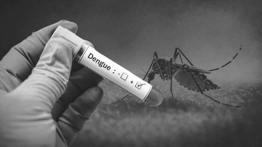 Dengue Alert in Pune: PMC Inspects 14 Lakh Homes, Finds Larvae in 18,885 Containers