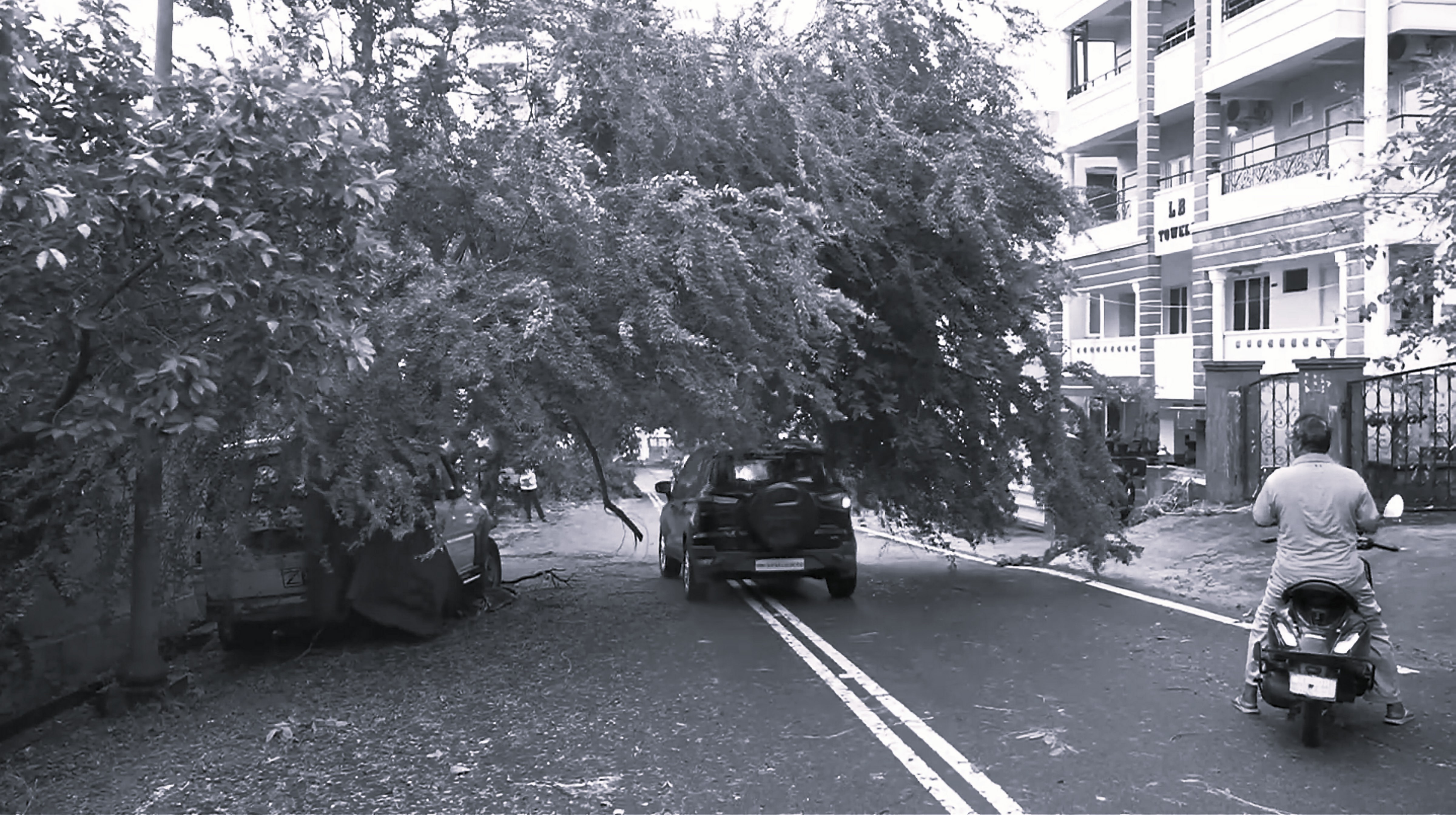 Andhra Cyclone Havoc: Two Dead, Thousands Evacuated, Roads Damaged